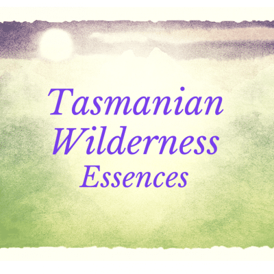 Tasmanian Wilderness Essences, 30mL and 15mL