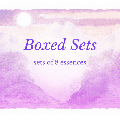 Boxed Sets
